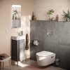 Hansgrohe iFrame Original S Przycisk WC chrom 66002000